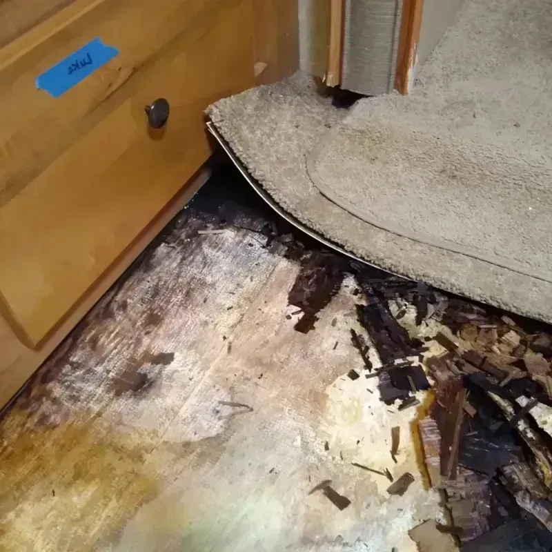 Wood Floor Water Damage in Berlin, MD